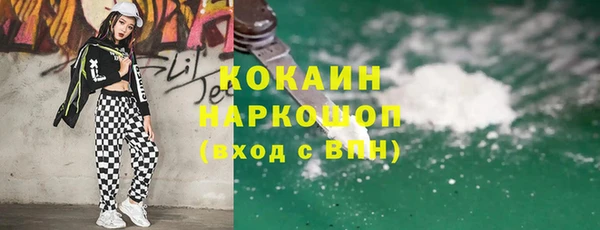 прущий лед Вяземский