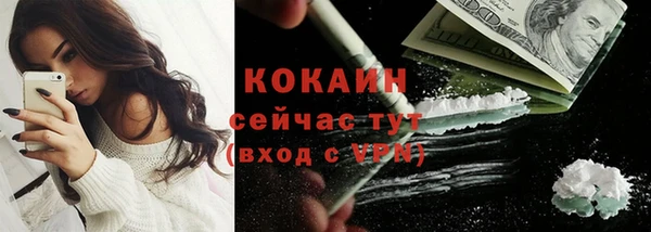 прущий лед Вяземский