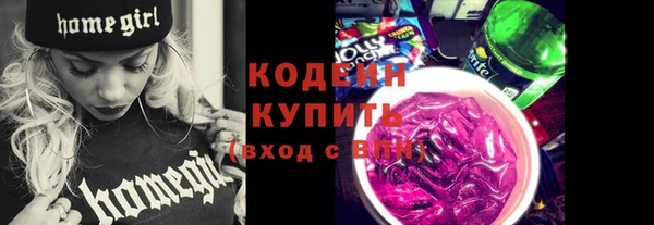 прущий лед Вяземский