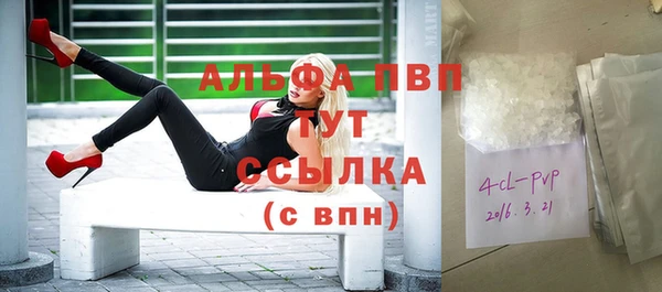 индика Вязьма