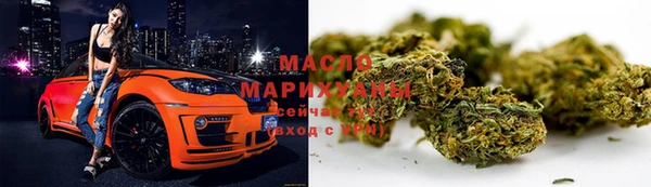 прущий лед Вяземский
