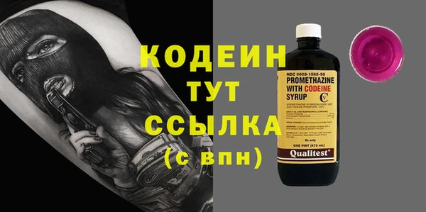 индика Вязьма