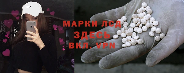 индика Вязьма