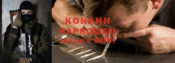индика Вязьма