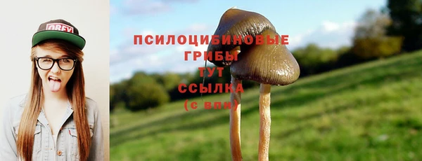 индика Вязьма
