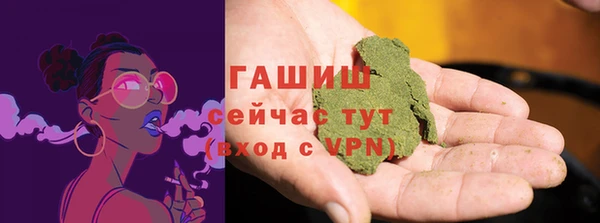 индика Вязьма
