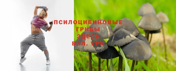 прущий лед Вяземский