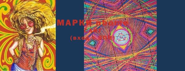 прущий лед Вяземский