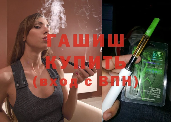 индика Вязьма