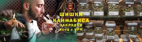 индика Вязьма