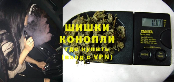 прущий лед Вяземский