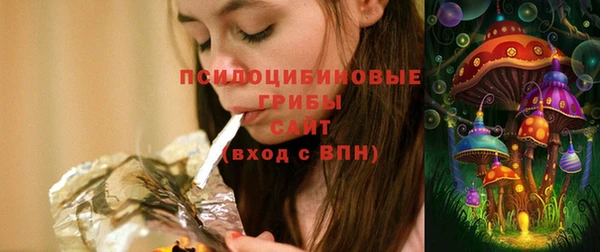 индика Вязьма