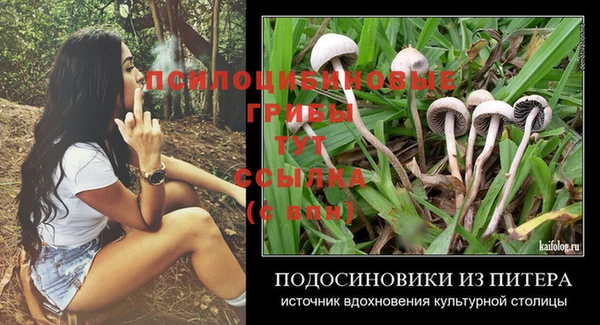 эйфоретик Вязники