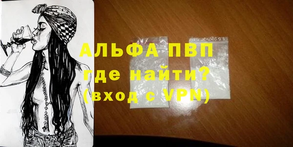 индика Вязьма