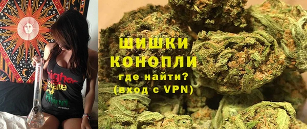 индика Вязьма