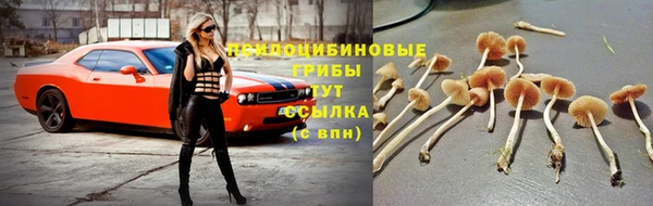 эйфоретик Вязники